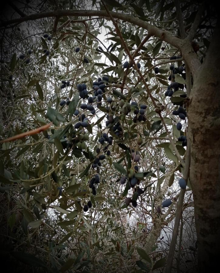 הוילה Magliano La Petraia מראה חיצוני תמונה